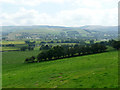 Pasture by the Afon Tefi, Ceredigion