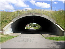 TA1329 : Marfleet Lane Bridge by Andy Beecroft