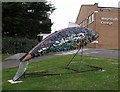 The Big Fish, Weymouth College