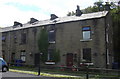 Mill Houses at Greenbank Works