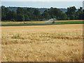 Farmland, Little Marlow