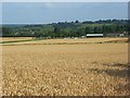 Farmland, Little Marlow