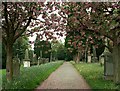 Carlisle Cemetery in May