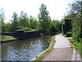 SO9793 : Bridge no more - Walsall Canal by Adrian Rothery