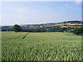 View to Kirkheaton