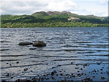 NO0543 : Loch of Lowes by Callum Black