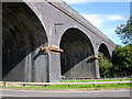 Rugby-Eleven Arches Viaduct