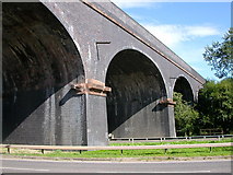 SP5076 : Rugby-Eleven Arches Viaduct by Ian Rob