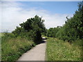 Waggonways Cycle Track