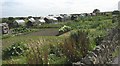 Well Maintained Allotment Gardens