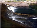 Fish Pass In Aberdulais