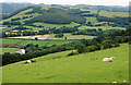 Field on the south side of Dyffryn Rheidol