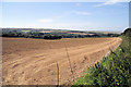 Fields near Rejerrah