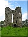 N9563 : Monktown Castle ruins, Co. Meath by Kieran Campbell