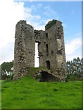 N9563 : Monktown Castle ruins, Co. Meath by Kieran Campbell