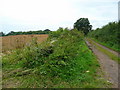 Track and footpath