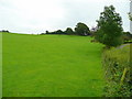 Green hillside west of Callow 1