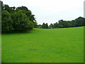 Green hillside west of Callow 2