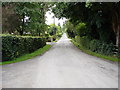 Private Road Leading to Sutton Scarsdale Hall