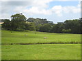 Parkland at Trereife House