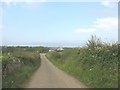 The lane east towards Llanbedrgoch approaching Gwenfro