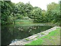 Broad Mills Pond