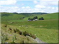 Elenydd moorland and Nantymaen farm, Ceredigion