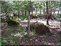 Blackfaulds Stone Circle