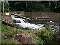 Fish Ladder at Otterton Devon