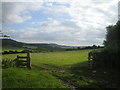 Farmland near Manor Farm 3