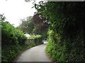 The seaward end of Lon Cei/Quay Lane