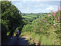 Minor road south of Cwm Rhyd