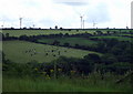 The view from Ffynnonwen