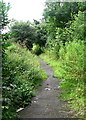 Footpath leading from New Pudsey Station