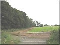 New farm road under construction off Lon y Glyn