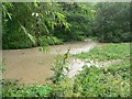 Crane Moor Dike in Flood - June 2007