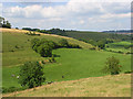 Downland, Cerne Abbas