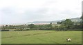 View eastwards across grazing land towards Red Wharf Bay