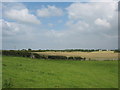 View eastwards towards harvested hayfields