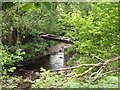 Ruinous footbridge