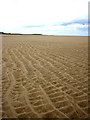 TF8745 : Famous sands of Holkham by Zorba the Geek