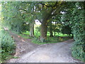 Bridleway and lane near Lower Lawn House