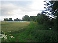 Farmland near Lower Lawn House