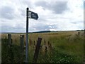 We take this footpath south to meet up with the Barnsley Boundary Walk