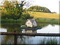 Duck pond, Manor Farm