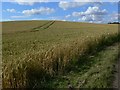 SK6820 : Farmland north of Shoby by Mat Fascione