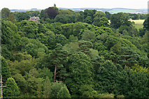 NT2863 : Trees along the River North Esk by Mike Pennington