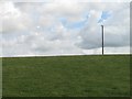 SJ4605 : Grassland, Chatford by Richard Webb