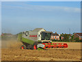 Harvest, Pinkneys Green