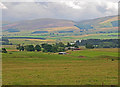 Pasture near Shielhill